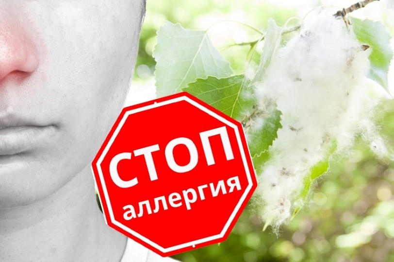 Аллергологические исследования